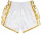 Preview: Fairtex Muay Thai Shorts Glory weiß BSG2